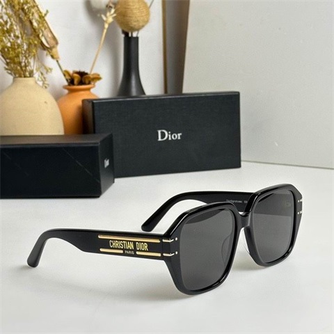 dior sunglass-195